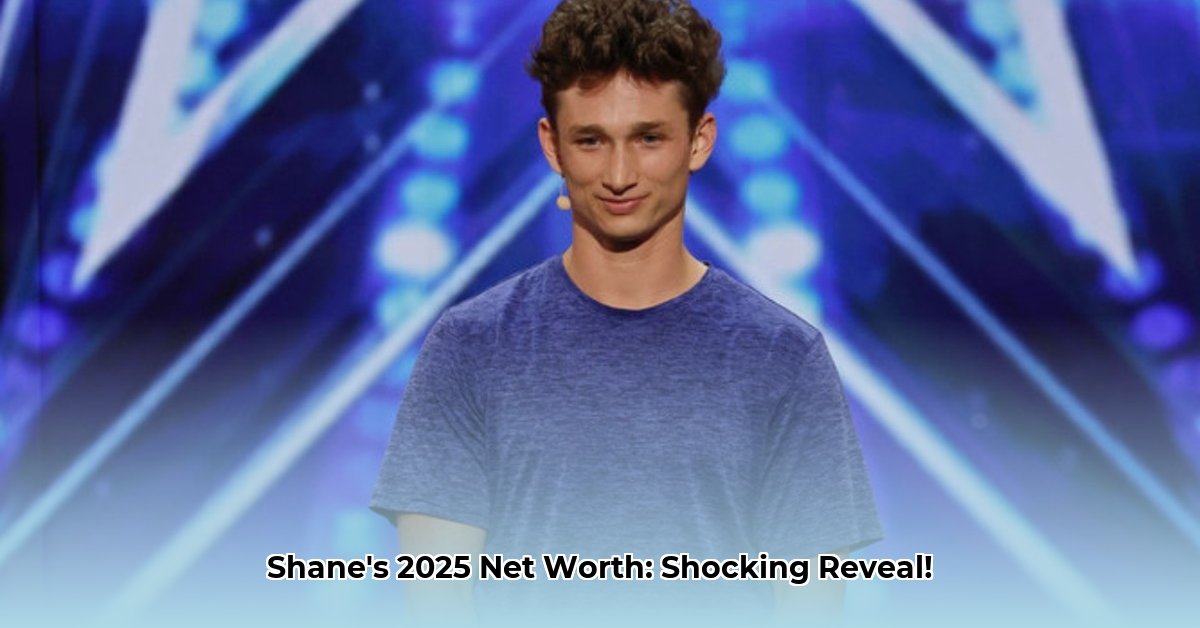 insane-shane-net-worth